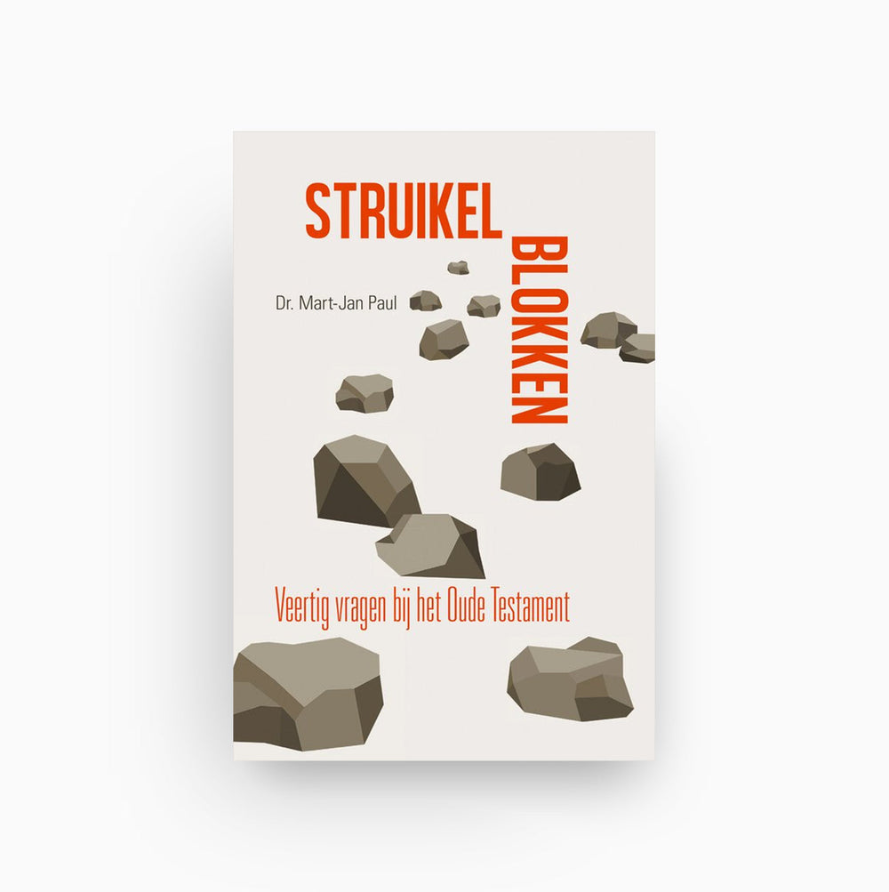 Omslag van Struikelblokken