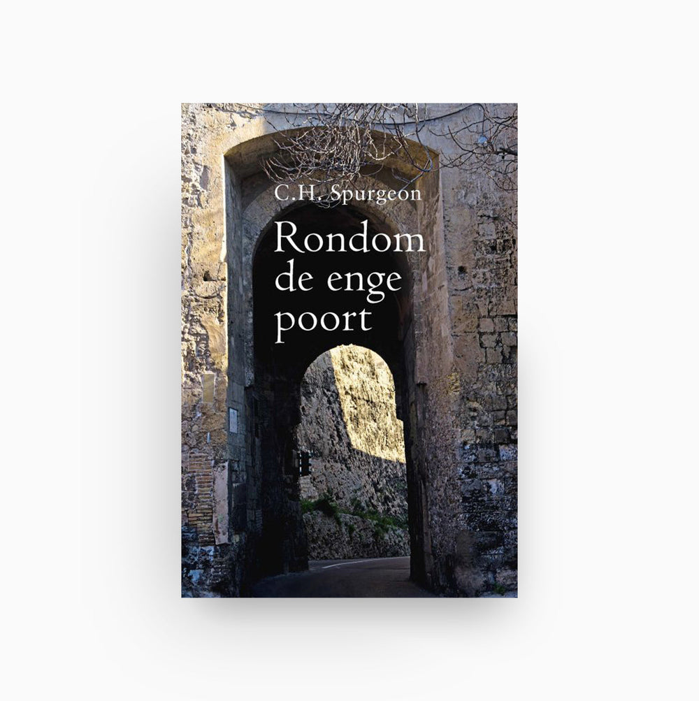 Omslag van Rondom de enge poort