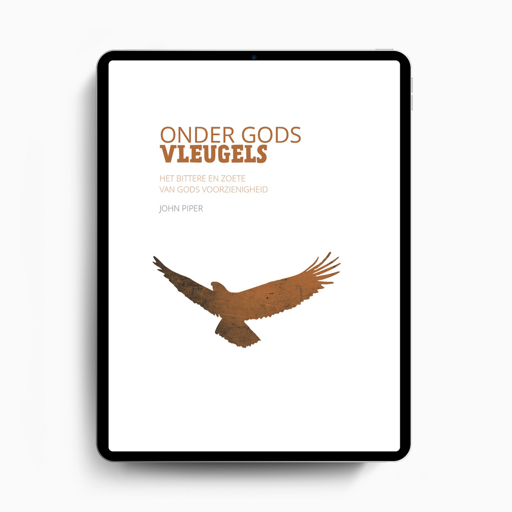 Onder Gods vleugels (ebook)